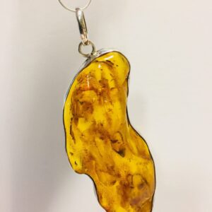 Stunning Large Genuine Baltic Amber Pendant Necklace with Trapped Insects Encased in Sterling Silver and Silver Chain