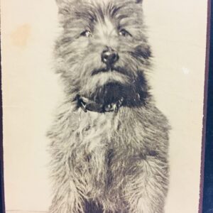 Vintage 1933 Scottie Dog Calendar, Vintage Scottie Dog, Vintage Ephemera, Vintage Calendar Made in England