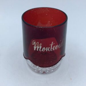 Flash Ruby Glass Etched Souvenir Tumbler Montevideo, Uruguay souvenir