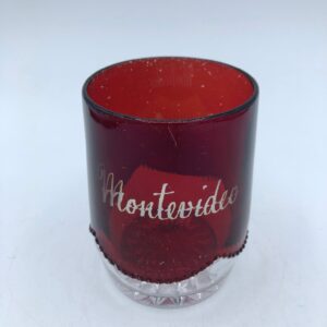 Flash Ruby Glass Etched Souvenir Tumbler Montevideo, Uruguay souvenir