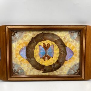 RARE Brazilian Inlaid Butterfly Tray by Daniel Teixeira, Vintage Tray