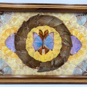 RARE Brazilian Inlaid Butterfly Tray by Daniel Teixeira, Vintage Tray