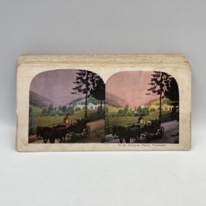 Set of 16 Vintage Colour Stereoscope Cards of Germany