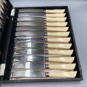 George Ibberson & Co. Firth Sheffield Stainless Ivorine Set of 12 Knives and Forks in Case